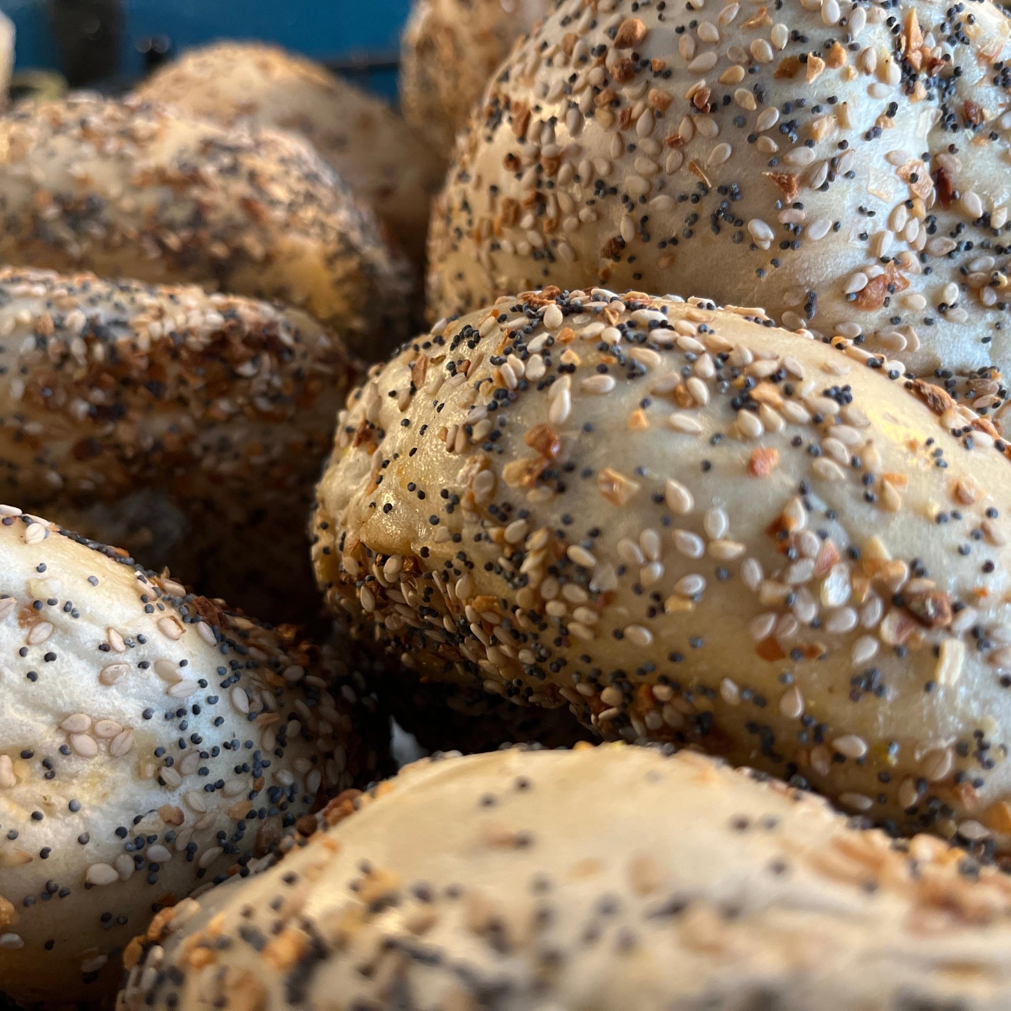 Half Dozen Bagels